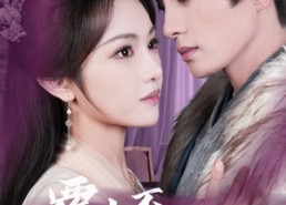 【覆水不收旧时义】70集短剧免费在线速看