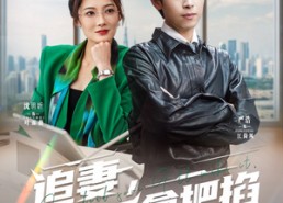 【追妻，我手拿把掐】68集精彩短剧在线赏看