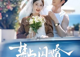 【禁止闪婚，雾散归栖时】66集短剧完整版免费看