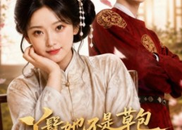 【丫鬟她不是草包，少爷才是】88集短剧在线全集畅看