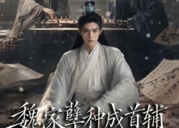 【魏家孽种成首辅分宗篇】90集短剧免费在线高清赏映