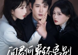 【问君何事轻离别】30集短剧免费全集在线赏