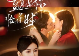 【盛夏遇你恰逢时】70集短剧免费在线畅快看