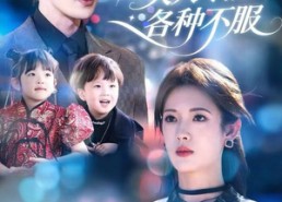 【报告总裁，夫人专治各种不服】66集全网短剧免费看全集