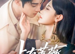 【占有蔷薇】76集短剧在线看免费