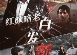 【红颜暗老白发新】56集在线看短剧免费