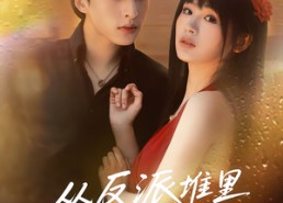 【从反派堆里捡个宝】70集短剧在线完整观看