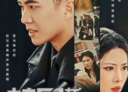 【蛇兄龙弟】60集短剧无广告免费观看