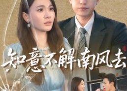 【知意不解南风去】90集短剧免费完整赏播