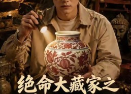 【绝命大藏家之命局迷踪2】72集短剧免费畅快观看