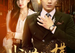 【尘世纵横】70集免费短剧全集在线观览