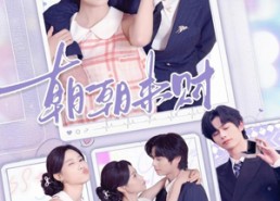 【朝朝来财】60集短剧全集畅享在线观