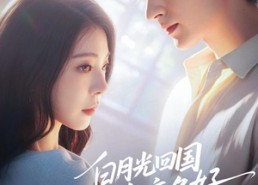 【白月光回国我连夜备好离婚协议】80集精彩短剧免费在线播放