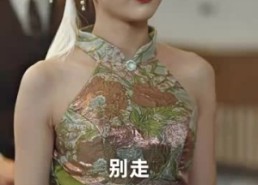 【离婚后大小姐在娱乐圈杀疯了】80集免费短剧全集畅享观看