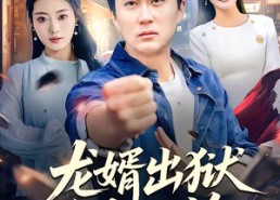 【龙婿出狱，千金不换】80集热门短剧免费观览