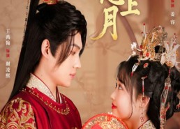 【娇娇心上月】61集短剧在线免费细看