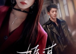 【婚谋已久】72集免费短剧全集畅享观看