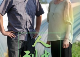 【人到中年又逢春】61集免费短剧全集在线览