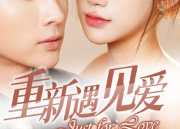 【重新遇见爱&换婚后我成了大哥的心尖宠】36集免费短剧在线全集播放