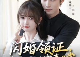 【闪婚领证，陆先生的宠妻日常】86集优质短剧在线观看