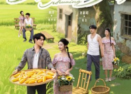 【乡间俏佳人】80集短剧免费在线赏看