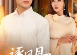 【逐风月寻他】71集短剧无广告在线观看