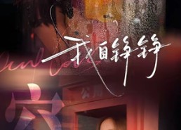 【我自铮铮】51集热门短剧在线免费观览