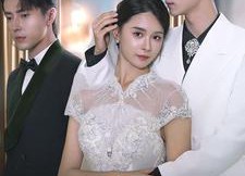 【情深留不住】80集短剧免费全集在线赏阅