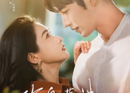 【玫瑰藏进晚风里】68集晚风藏剧免费在线看