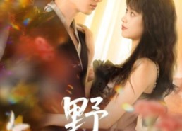 【野焰】60集短剧全网免费在线畅看