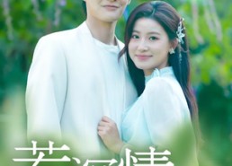 【若深情错付】60集短剧免费全集在线乐看