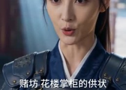 【北漠归龙】33集高清短剧在线免费看