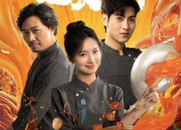 【厨娘陪你过大年】39集在线短剧全集免费赏