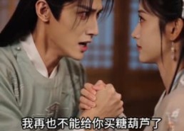 【半生藏拙共长安】51集高清短剧在线播放无删减