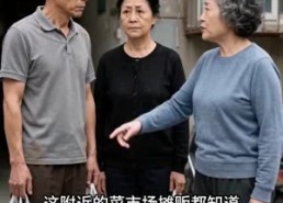 【孝与谎】45集短剧免费全集在线品鉴