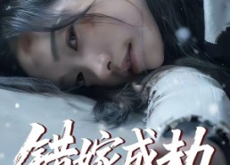 【错嫁成劫】60集短剧全集免费在线速看