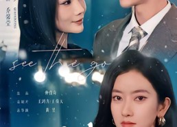 【十年烟火，终醒大梦】60集短剧免费全集在线赏播