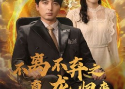 【不离不弃之真龙归来】73集免费短剧全集线上赏