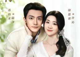 【七年难孕，再婚后她一胎双宝】99集短剧全集在线免费赏