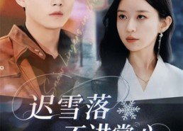 【迟雪落不进掌心】79集短剧全集免费在线赏映