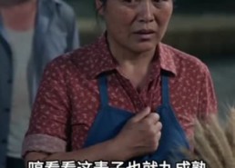【预知暴雨抢收麦子，不听我的后悔了吧】42集短剧在线免费观映