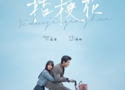 【一朵桔梗花】71集短剧在线免费全剧赏