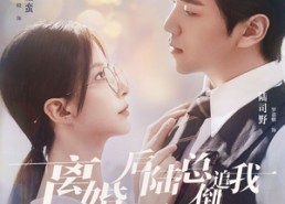 【离婚后陆总倒追我帮我提鞋】100集在线短剧全集畅看