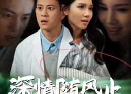 【深情随风止】54集免费在线短剧全集赏看