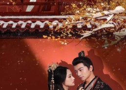 【梦向楼心灯火归】37集全网短剧免费观看