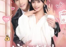 【嫁给傅先生，福气找上门】66集短剧在线流畅播放