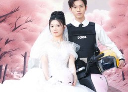 【新版：披荆斩棘的婚姻】90集短剧无广告在线看全集