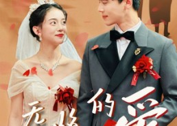 【无悔的爱】75集免费短剧全集在线赏看