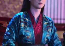 【龙图录：绣衣定乾坤】106集短剧免费在线观映