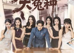 【我真不是大冤种】85集免费短剧全集网络观